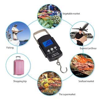 Mini Portable Electronic Scale